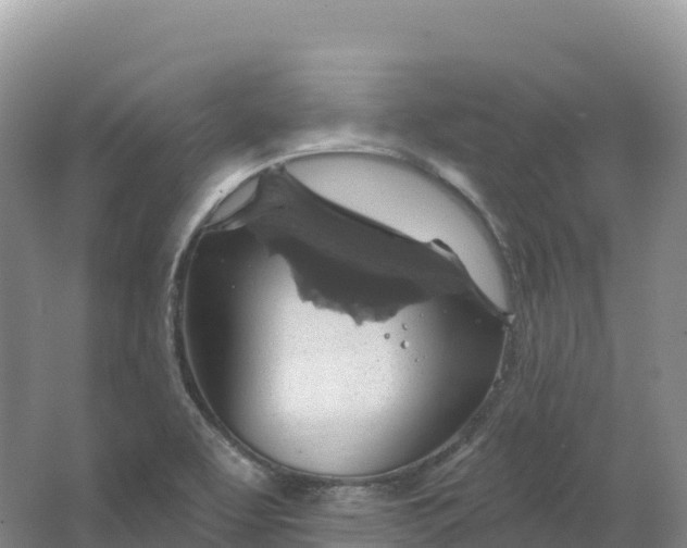 X0000064741463200602241738