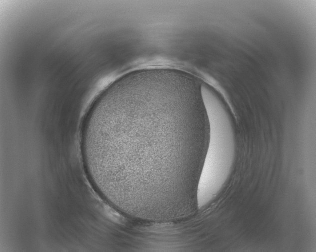 X0000064741464200602241738