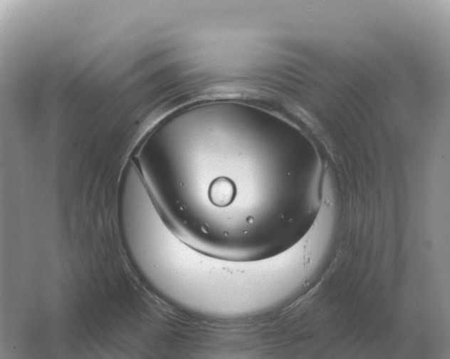 X0000064741465200602241738