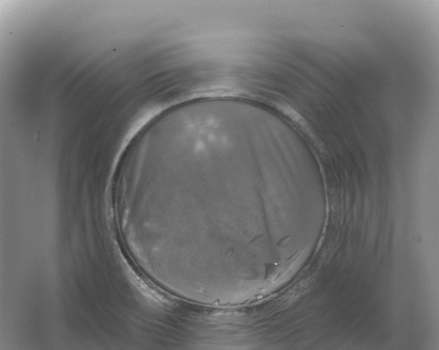 X0000064741466200602241738