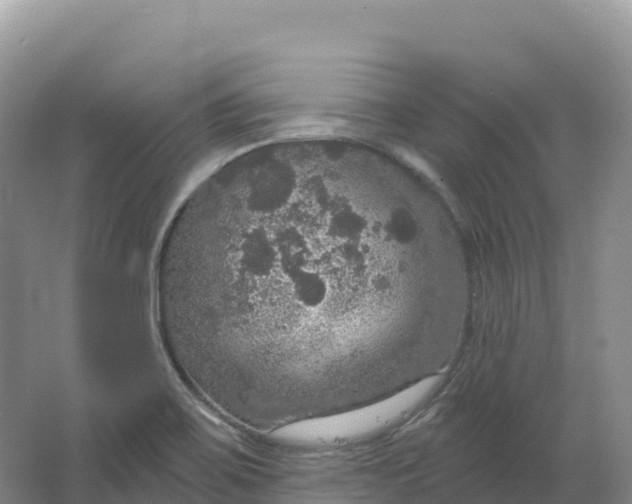 X0000064741467200602241738