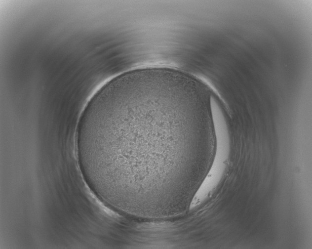 X0000064741468200602241738