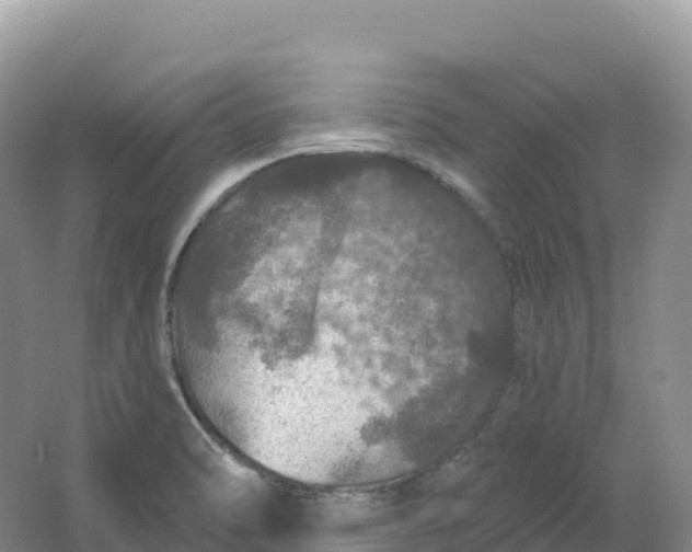 X0000064741470200602241738