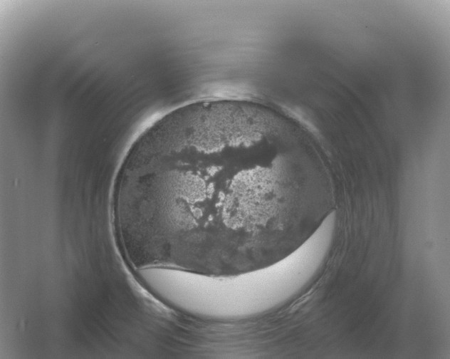 X0000064741471200602241738