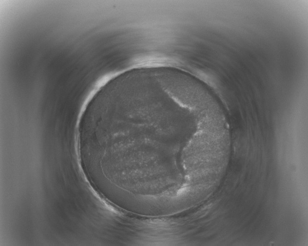 X0000064741472200602241738