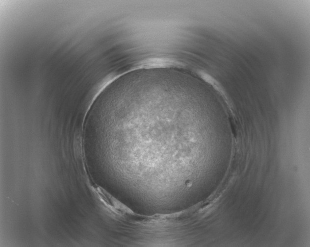 X0000064741473200602241738