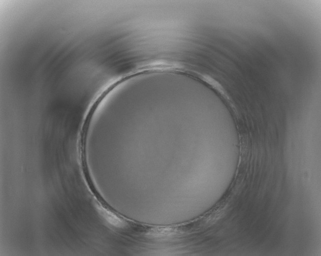 X0000064741474200602241738