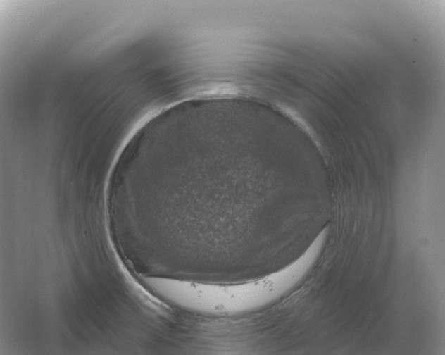 X0000064741475200602241738