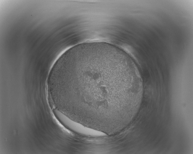 X0000064741476200602241738