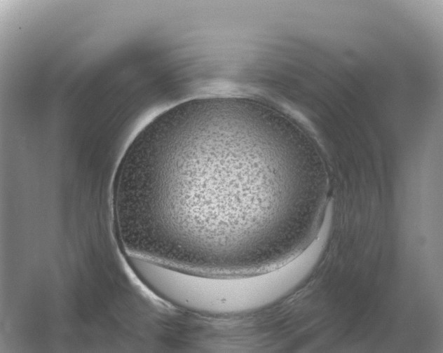 X0000064741479200602241738