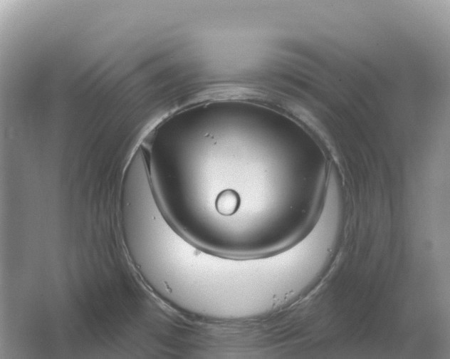 X0000064741481200602241738