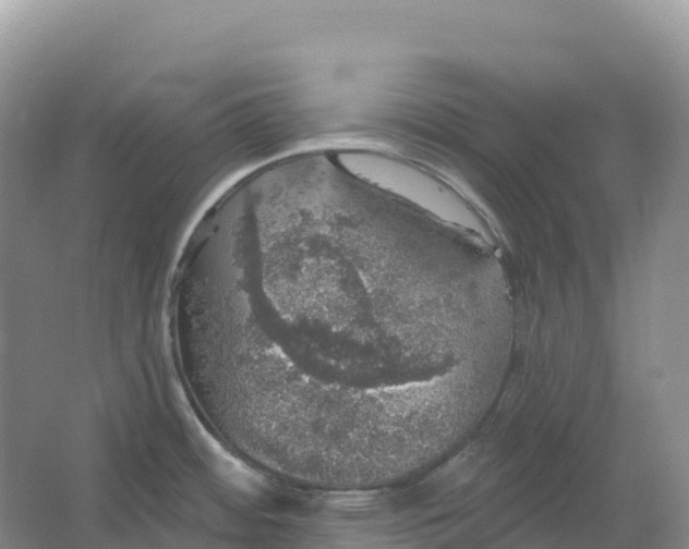 X0000064741484200602241738