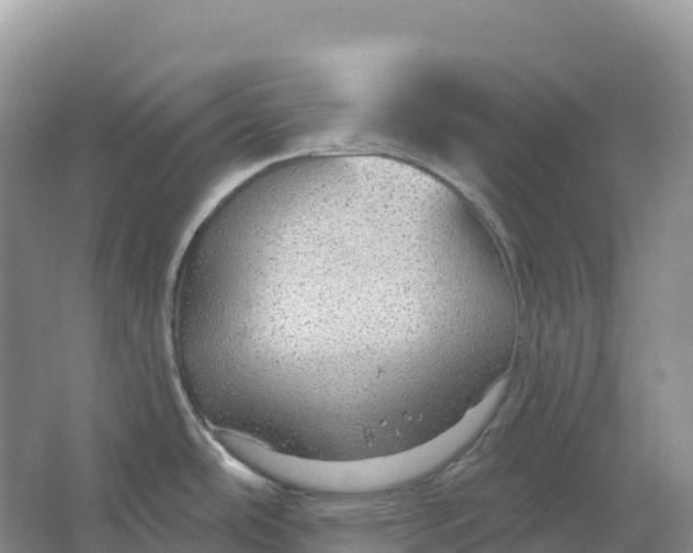 X0000064741486200602241738