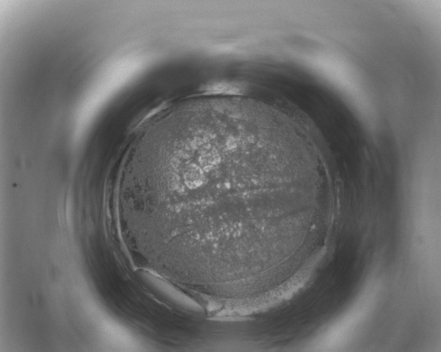 X0000064741487200602241738