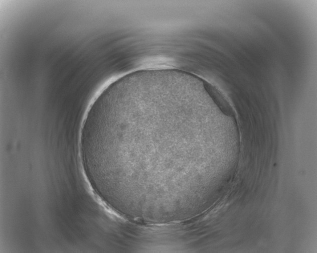 X0000064741488200602241738