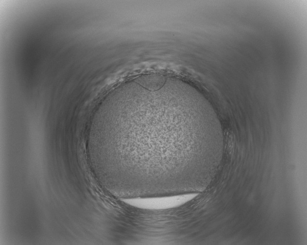 X0000064741489200602241736