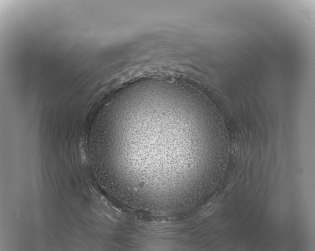 X0000064741490200602241736