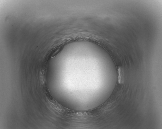 X0000064741491200602241736