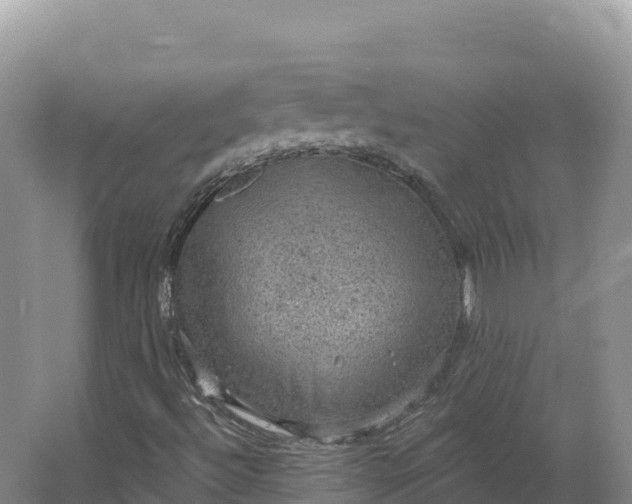 X0000064741492200602241736