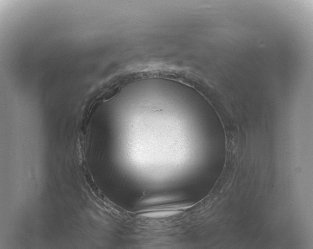 X0000064741493200602241736