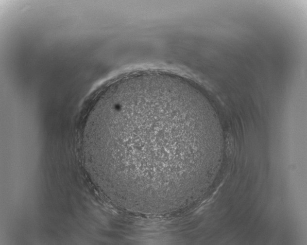 X0000064741494200602241737