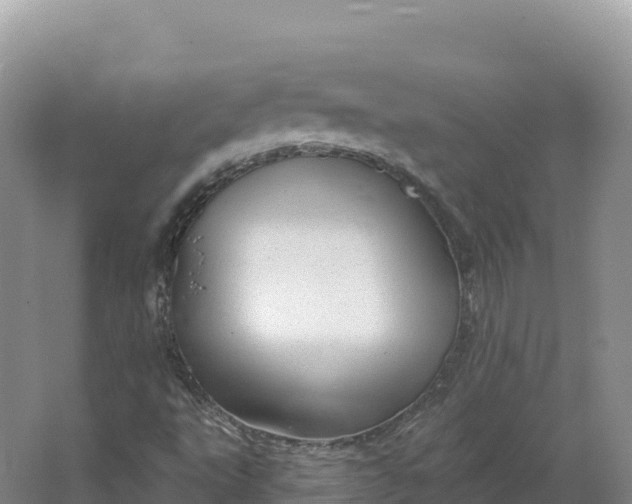 X0000064741495200602241737