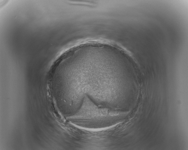 X0000064741496200602241737