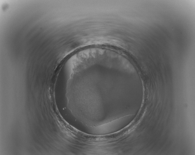 X0000064741497200602241737