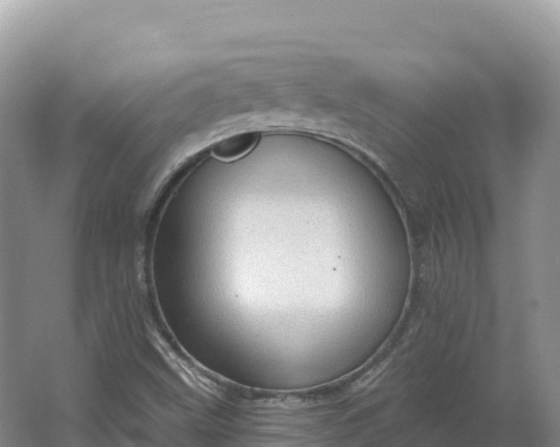 X0000064741499200602241737