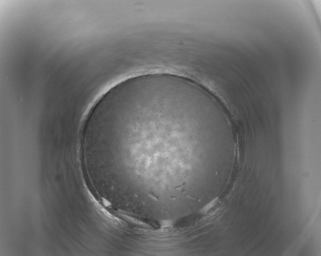 X0000064741500200602241737