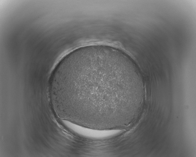 X0000064741501200602241737