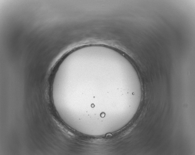 X0000064741502200602241737