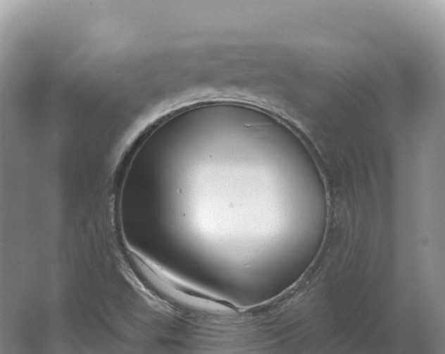 X0000064741503200602241737