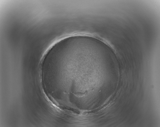 X0000064741504200602241737