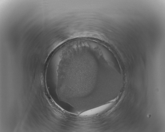 X0000064741505200602241737