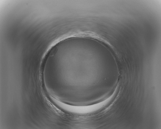 X0000064741506200602241737