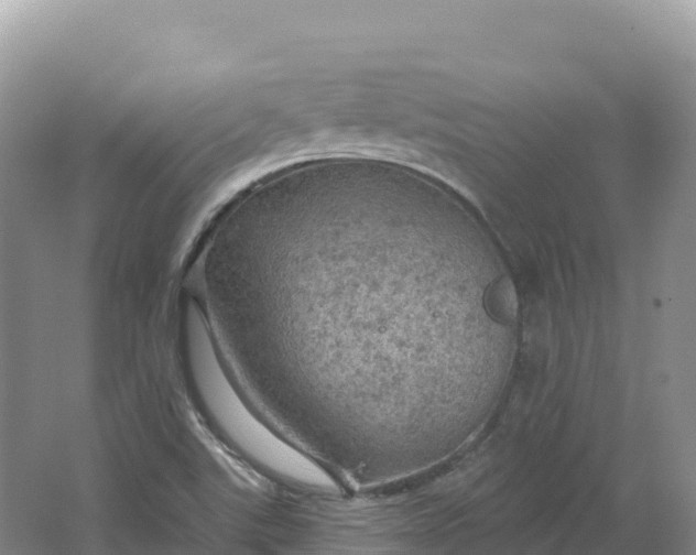 X0000064741507200602241737