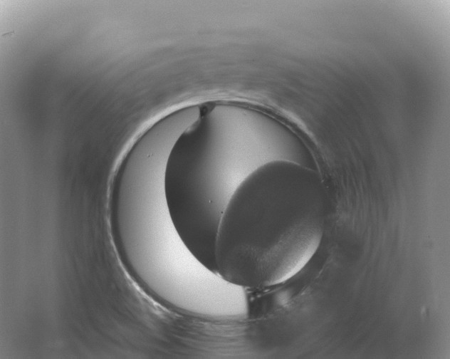 X0000064741508200602241737