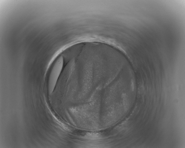 X0000064741509200602241737