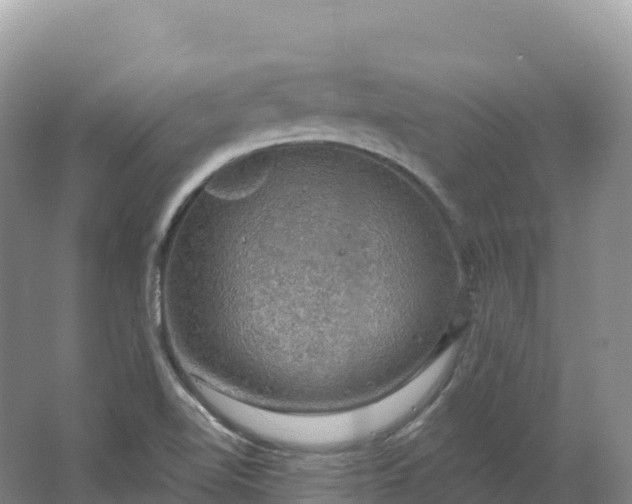 X0000064741510200602241737