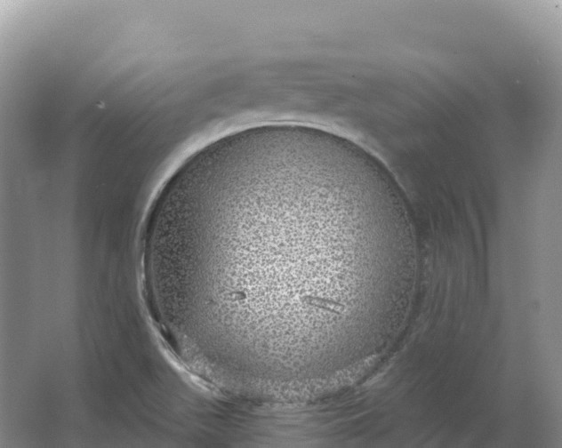 X0000064741511200602241737