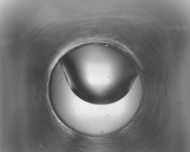 X0000064741512200602241737