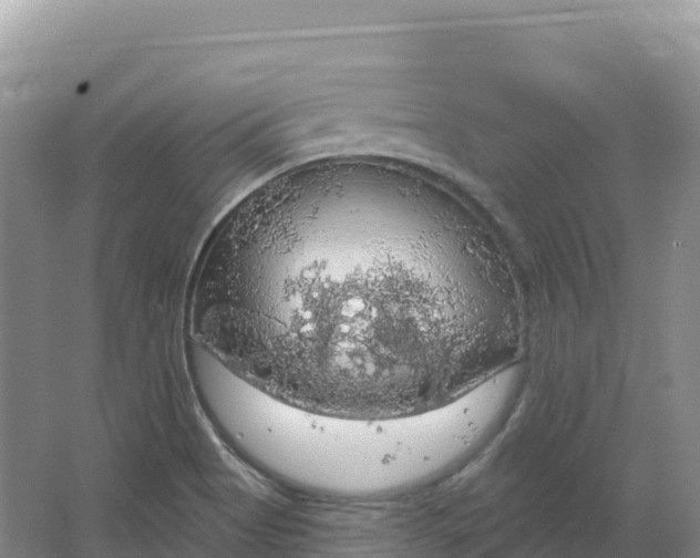 X0000064741513200602241737