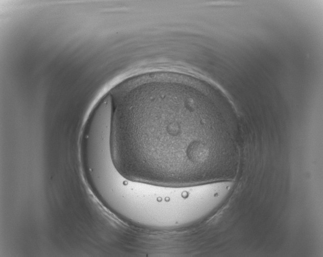 X0000064741514200602241737