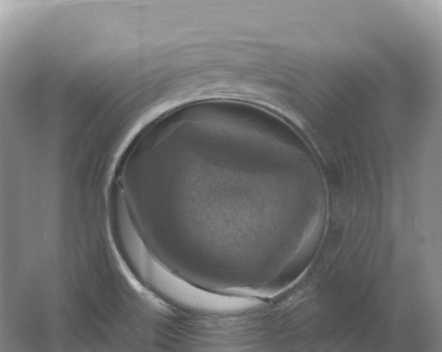 X0000064741515200602241737