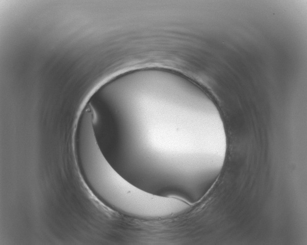 X0000064741516200602241737