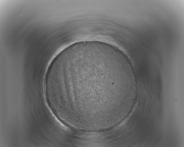 X0000064741517200602241737