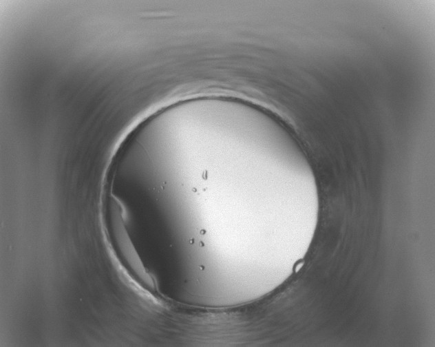 X0000064741518200602241737