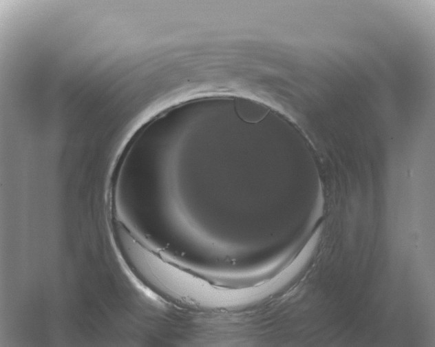 X0000064741519200602241737