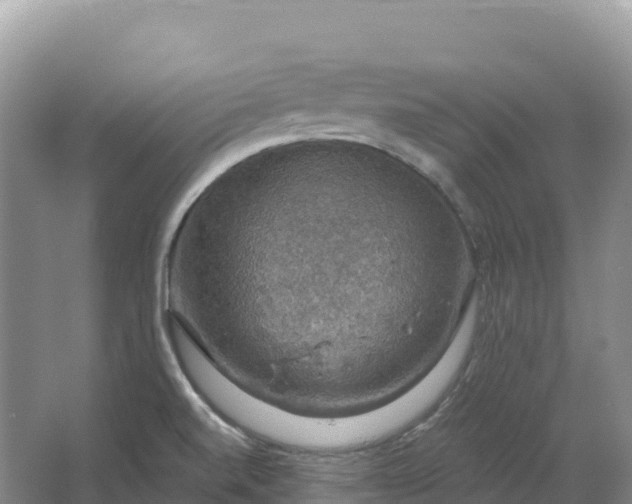 X0000064741520200602241737